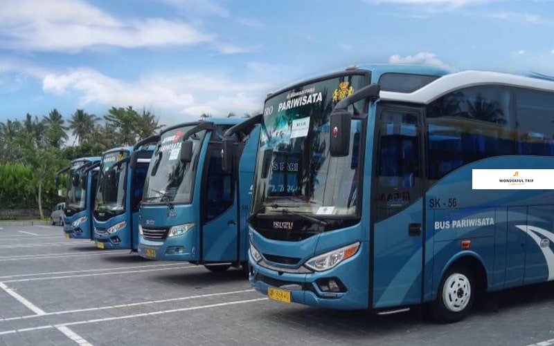 sewa bus murah di bali