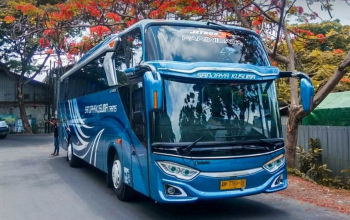 bus 45 seater