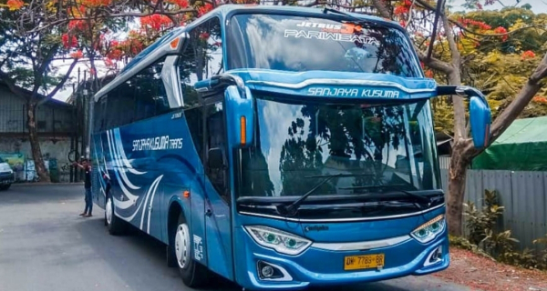 bus 45 seater