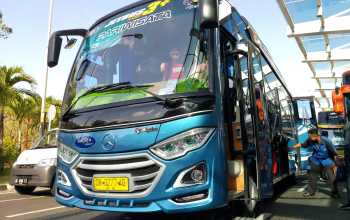 bus 39 seater